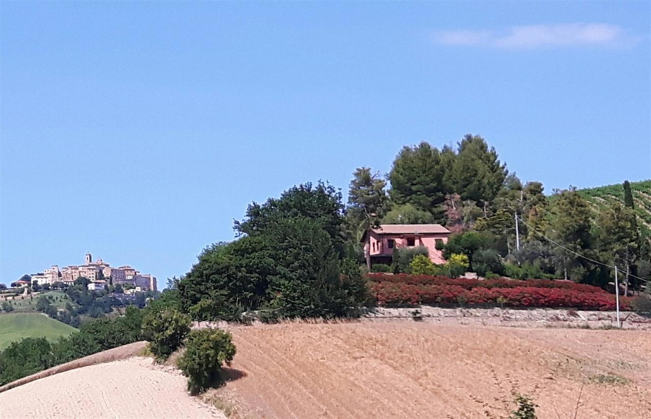 La Casa In Campagna Bed & Breakfast Cossignano Екстериор снимка